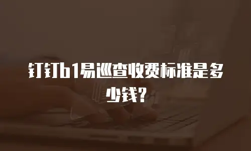 钉钉b1易巡查收费标准是多少钱？
