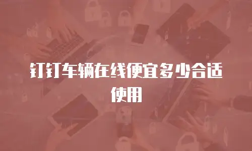 钉钉车辆在线便宜多少合适使用