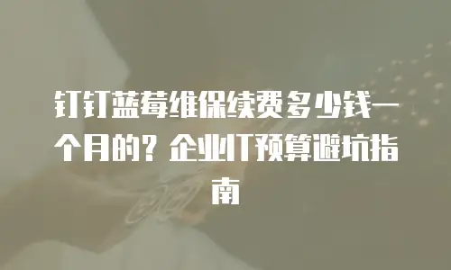 钉钉蓝莓维保续费多少钱一个月的？企业IT预算避坑指南