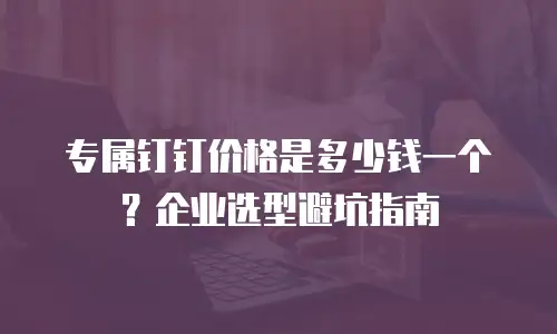 专属钉钉价格是多少钱一个？企业选型避坑指南