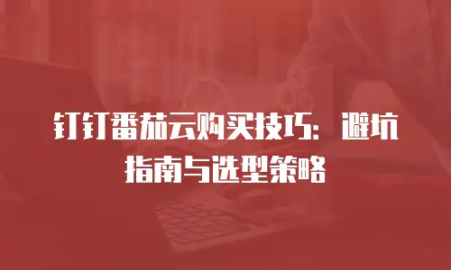 钉钉番茄云购买技巧：避坑指南与选型策略