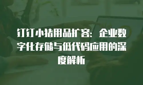 钉钉小猪用品扩容：企业数字化存储与低代码应用的深度解析