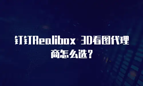 钉钉Realibox 3D看图代理商怎么选？