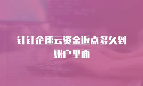 钉钉企速云资金返点多久到账户里面