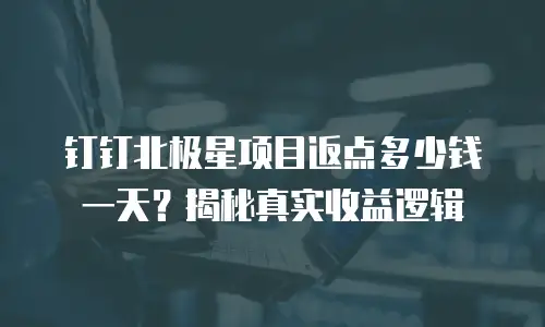 钉钉北极星项目返点多少钱一天？揭秘真实收益逻辑