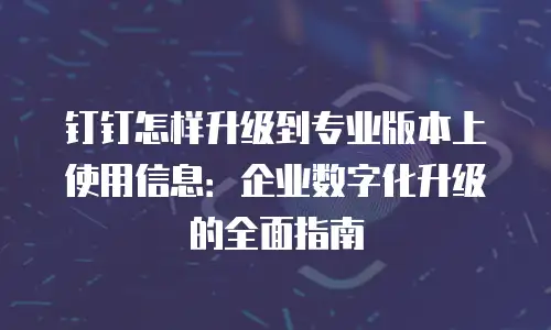 钉钉怎样升级到专业版本上使用信息：企业数字化升级的全面指南