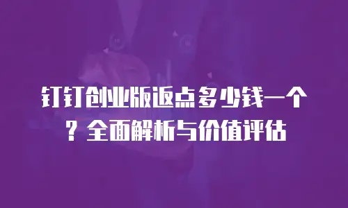 钉钉创业版返点多少钱一个？全面解析与价值评估