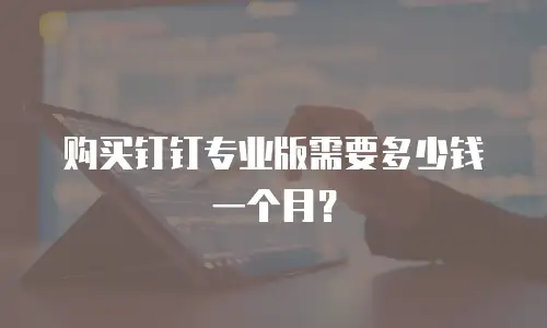 购买钉钉专业版需要多少钱一个月？