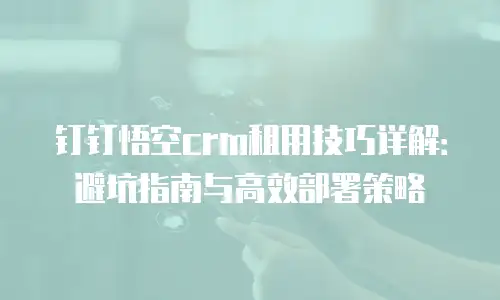 钉钉悟空crm租用技巧详解：避坑指南与高效部署策略