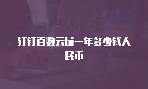 钉钉百数云bi一年多少钱人民币