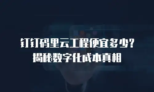 钉钉码里云工程便宜多少？揭秘数字化成本真相