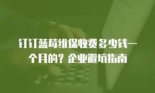 钉钉蓝莓维保收费多少钱一个月的？企业避坑指南