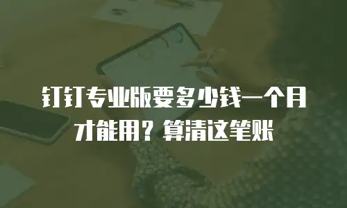 钉钉专业版要多少钱一个月才能用？算清这笔账
