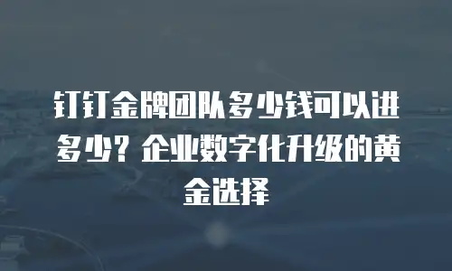 钉钉金牌团队多少钱可以进多少？企业数字化升级的黄金选择