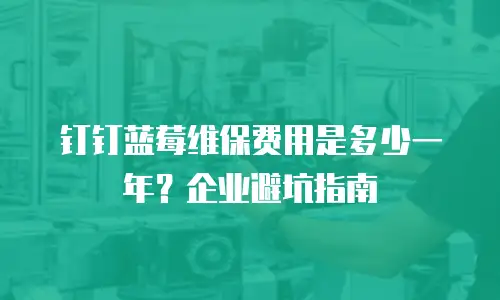 钉钉蓝莓维保费用是多少一年？企业避坑指南