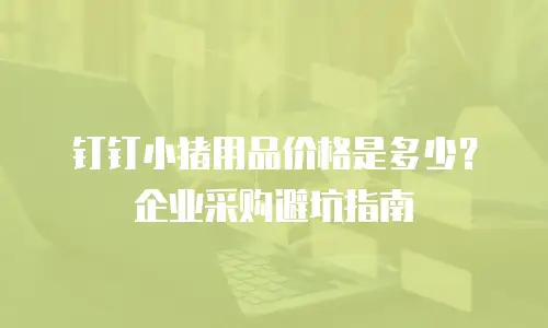 钉钉小猪用品价格是多少？企业采购避坑指南