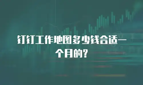 钉钉工作地图多少钱合适一个月的？