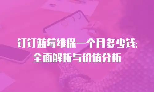 钉钉蓝莓维保一个月多少钱：全面解析与价值分析