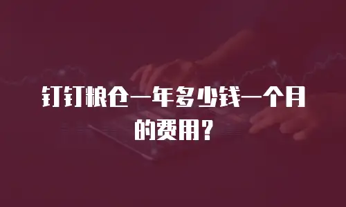 钉钉粮仓一年多少钱一个月的费用？