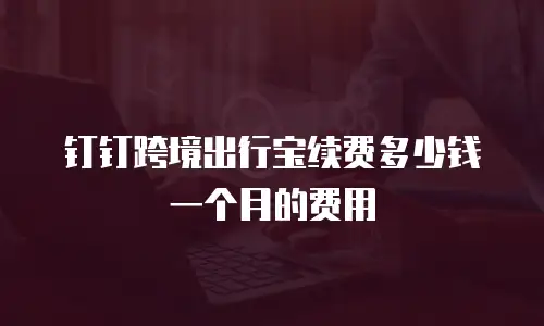 钉钉跨境出行宝续费多少钱一个月的费用