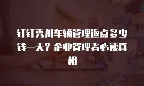钉钉秀川车辆管理返点多少钱一天？企业管理者必读真相