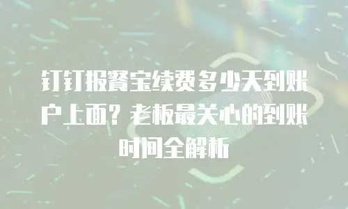 钉钉报餐宝续费多少天到账户上面？老板最关心的到账时间全解析