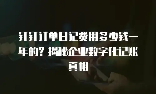 钉钉订单日记费用多少钱一年的？揭秘企业数字化记账真相