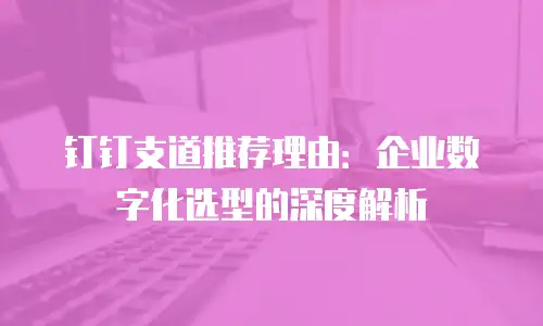 钉钉支道推荐理由：企业数字化选型的深度解析