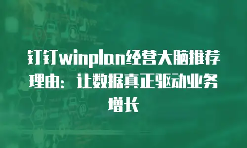 钉钉winplan经营大脑推荐理由：让数据真正驱动业务增长