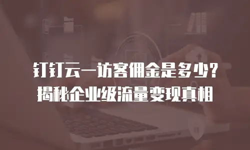 钉钉云一访客佣金是多少？揭秘企业级流量变现真相