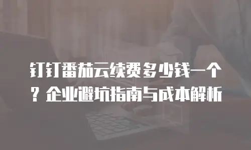钉钉番茄云续费多少钱一个？企业避坑指南与成本解析
