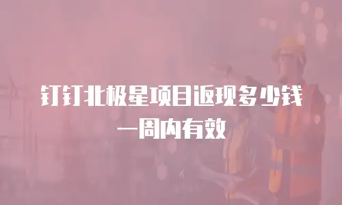 钉钉北极星项目返现多少钱一周内有效
