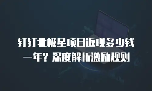 钉钉北极星项目返现多少钱一年？深度解析激励规则