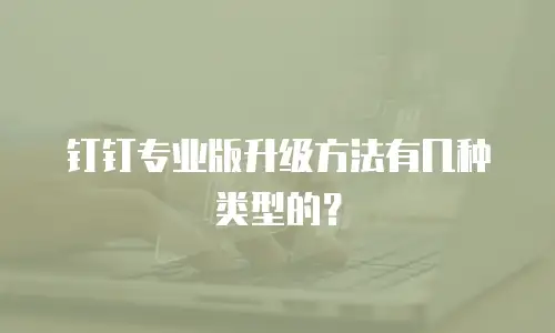 钉钉专业版升级方法有几种类型的？