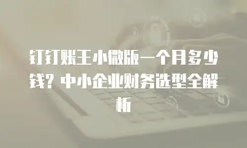 钉钉账王小微版一个月多少钱？中小企业财务选型全解析
