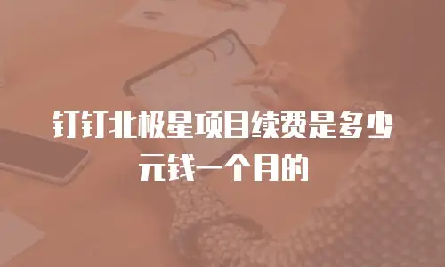 钉钉北极星项目续费是多少元钱一个月的