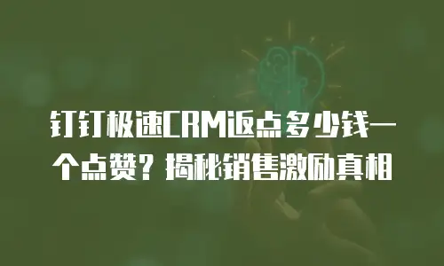 钉钉极速CRM返点多少钱一个点赞？揭秘销售激励真相