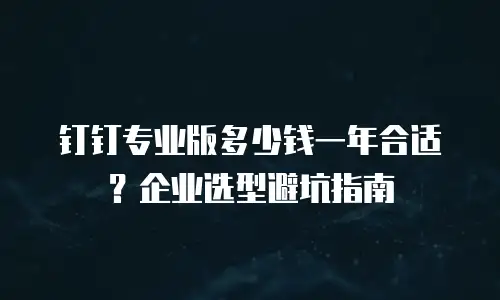 钉钉专业版多少钱一年合适？企业选型避坑指南