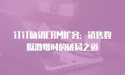 钉钉励销CRM扩容：销售数据激增时的破局之道