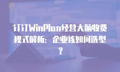 钉钉WinPlan经营大脑收费模式解析：企业该如何选型？