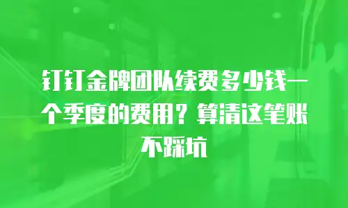 钉钉金牌团队续费多少钱一个季度的费用？算清这笔账不踩坑