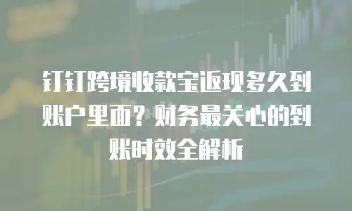 钉钉跨境收款宝返现多久到账户里面？财务最关心的到账时效全解析