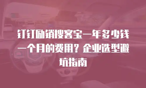 钉钉励销搜客宝一年多少钱一个月的费用？企业选型避坑指南