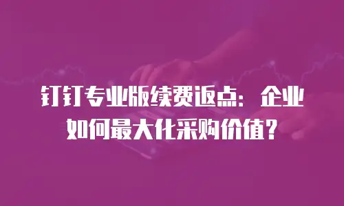 钉钉专业版续费返点：企业如何最大化采购价值？