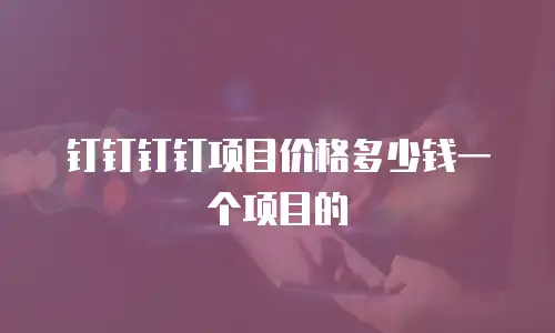 钉钉钉钉项目价格多少钱一个项目的