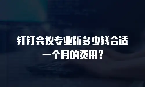 钉钉会议专业版多少钱合适一个月的费用？