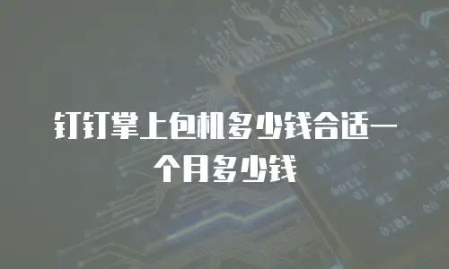 钉钉掌上包机多少钱合适一个月多少钱