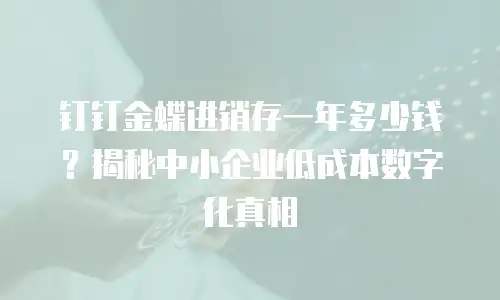 钉钉金蝶进销存一年多少钱？揭秘中小企业低成本数字化真相