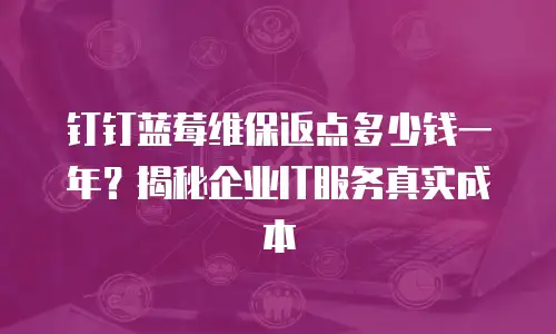 钉钉蓝莓维保返点多少钱一年？揭秘企业IT服务真实成本