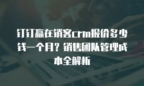 钉钉赢在销客crm报价多少钱一个月？销售团队管理成本全解析